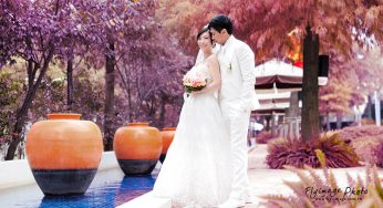 偉龍。彥伃 婚禮紀錄-中僑婚訂花園