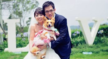 宗翰。美詩 婚禮紀錄-台中心之芳庭
